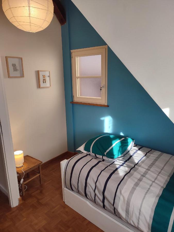 Confortable Appartement Au Centre De Sélestat Esterno foto
